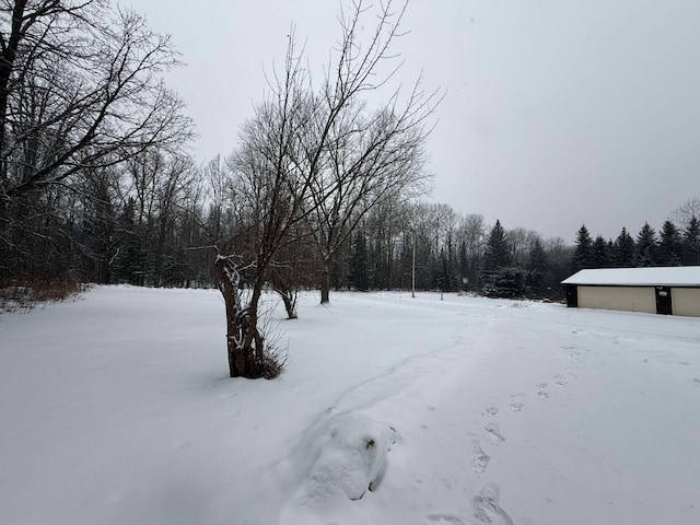 view of yard covered in snow