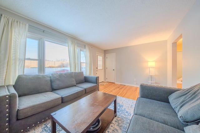 living room featuring hardwood / wood-style flooring