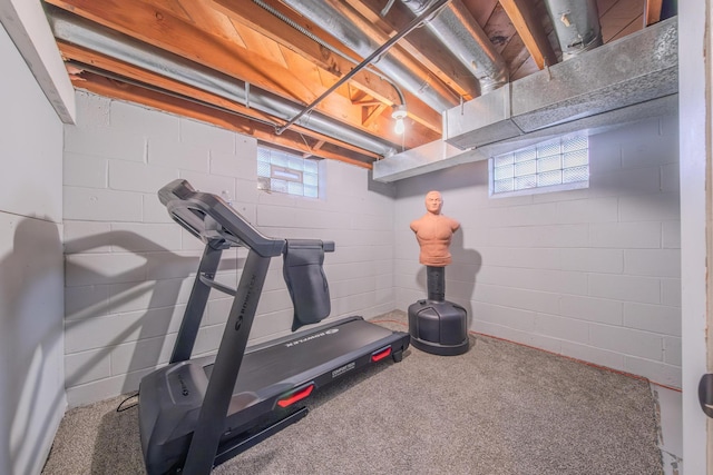 workout area featuring a healthy amount of sunlight