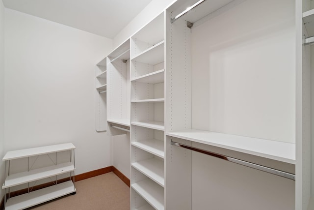 walk in closet with carpet floors