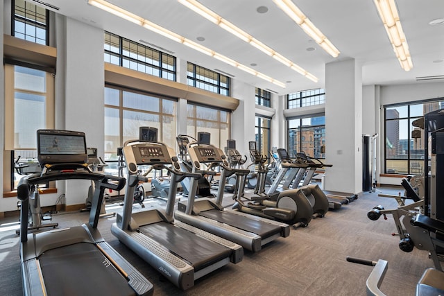 workout area featuring carpet flooring and a high ceiling