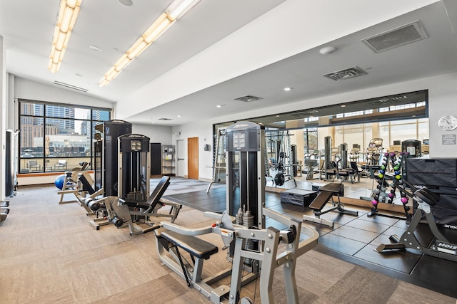 gym featuring vaulted ceiling and a healthy amount of sunlight