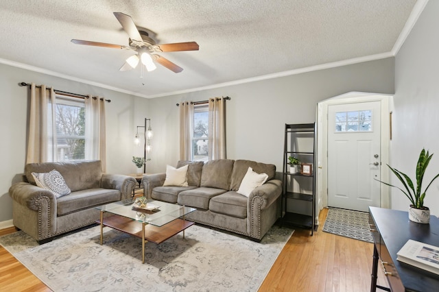 living room featuring ceiling fan, ornamental molding, light hardwood / wood-style flooring, and a textured ceiling