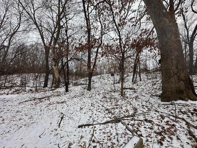 view of snowy landscape