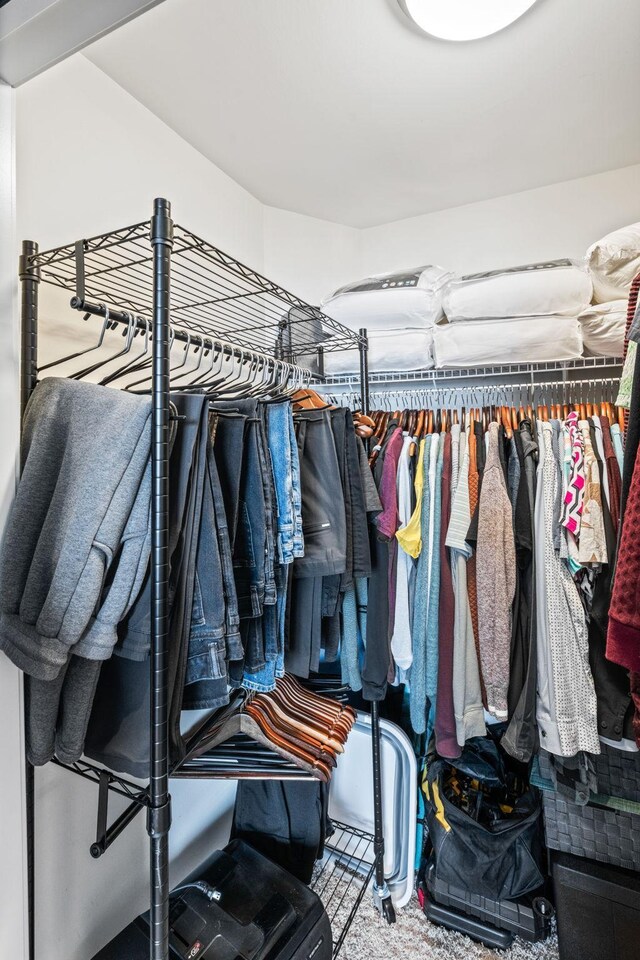 view of spacious closet