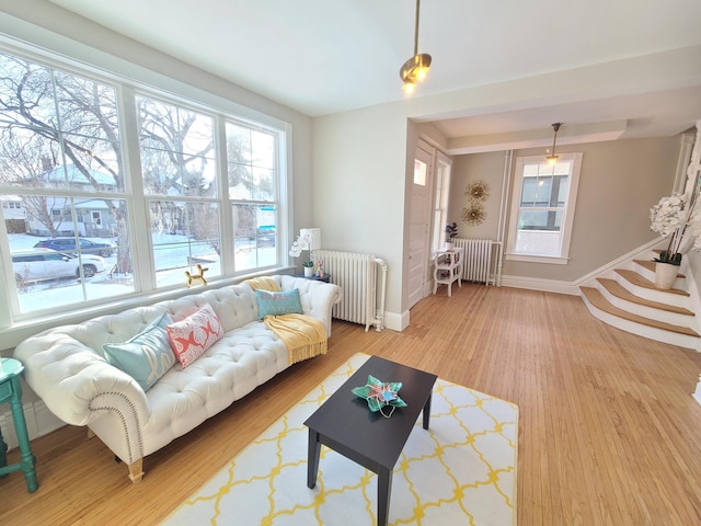 living room featuring hardwood / wood-style flooring and radiator heating unit