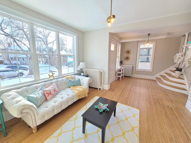 living room with wood-type flooring and radiator