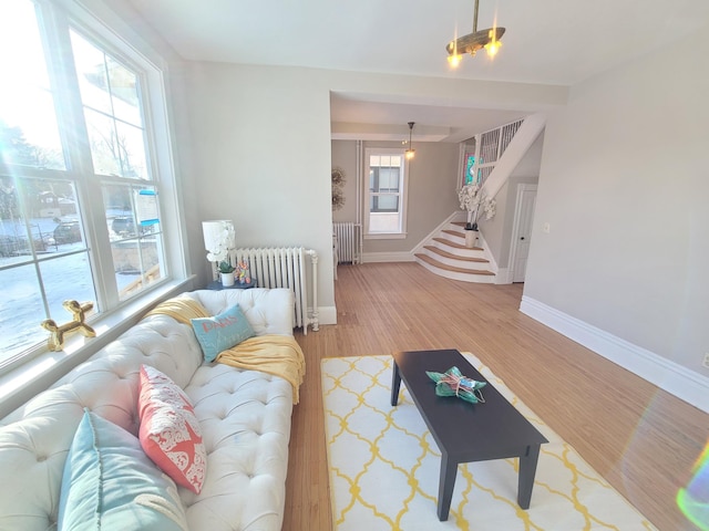 living room featuring hardwood / wood-style flooring and radiator heating unit