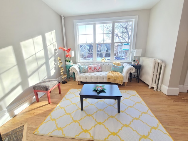 living area with radiator heating unit and wood-type flooring