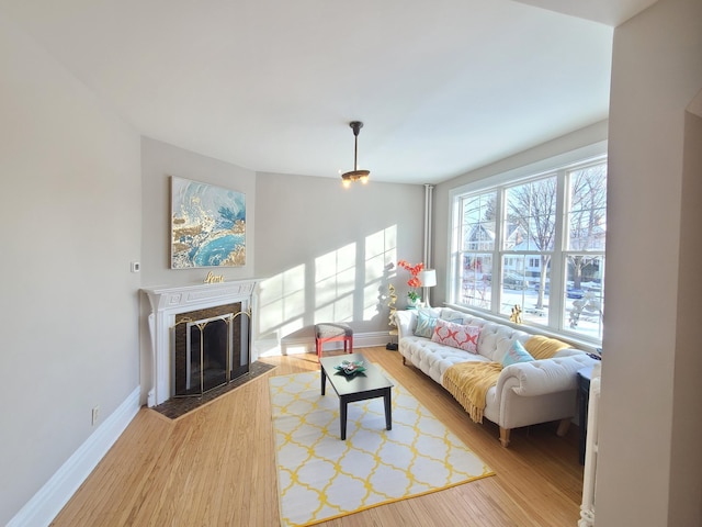 living room with hardwood / wood-style flooring and a premium fireplace