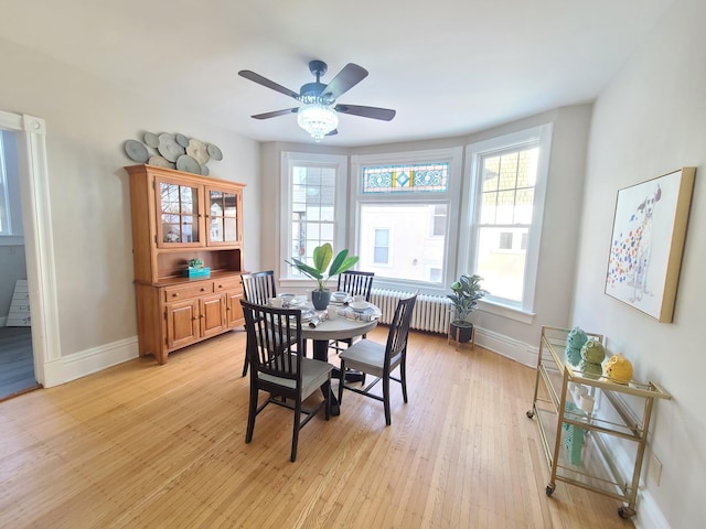 dining room featuring ceiling fan, radiator heating unit, and light hardwood / wood-style flooring