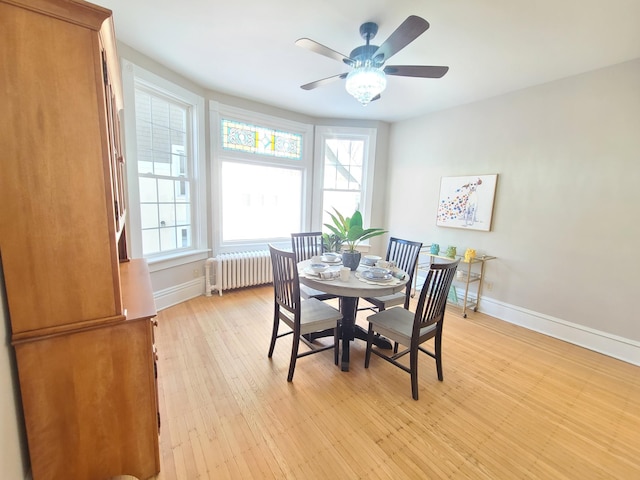 dining room featuring ceiling fan, radiator, and light hardwood / wood-style floors