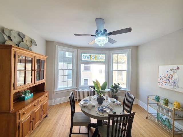 dining room featuring ceiling fan, radiator heating unit, and light wood-type flooring