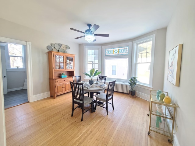 dining room featuring ceiling fan, radiator heating unit, and light hardwood / wood-style floors