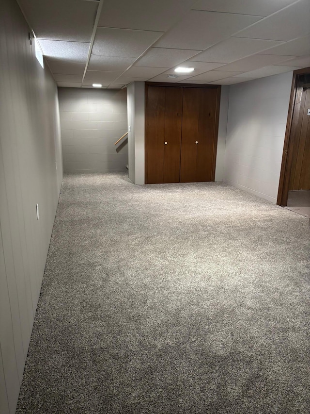 basement with a paneled ceiling and carpet flooring