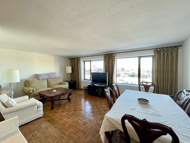 living area with a textured ceiling