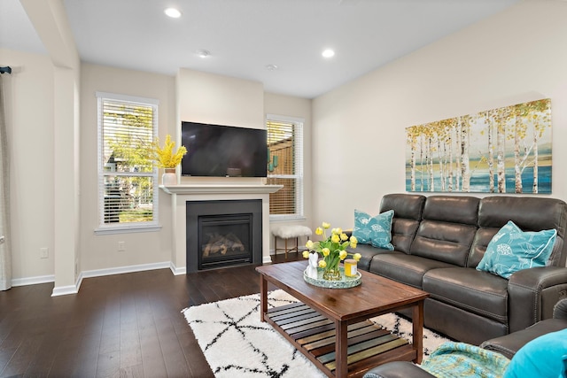 living room featuring dark hardwood / wood-style flooring