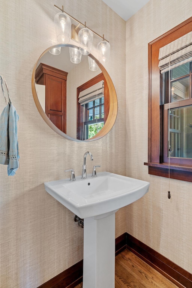 bathroom with wood-type flooring and sink