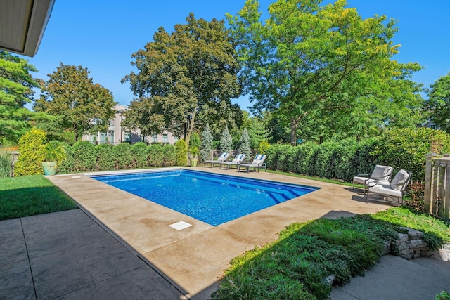 view of swimming pool featuring a patio