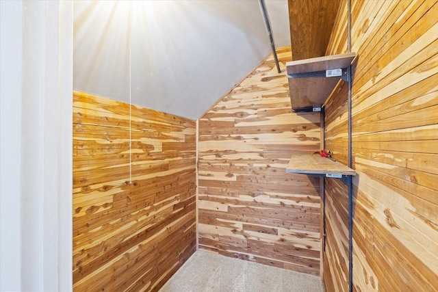 spacious closet with vaulted ceiling and carpet flooring