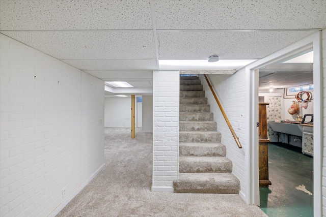 basement featuring a drop ceiling, carpet floors, and brick wall