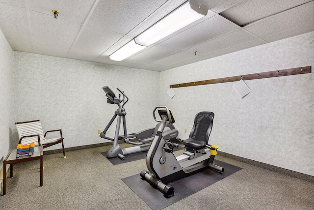 4360 Brookside Ct Unit 201, Edina, MN 55436 - workout area with a drop ceiling and carpet floors