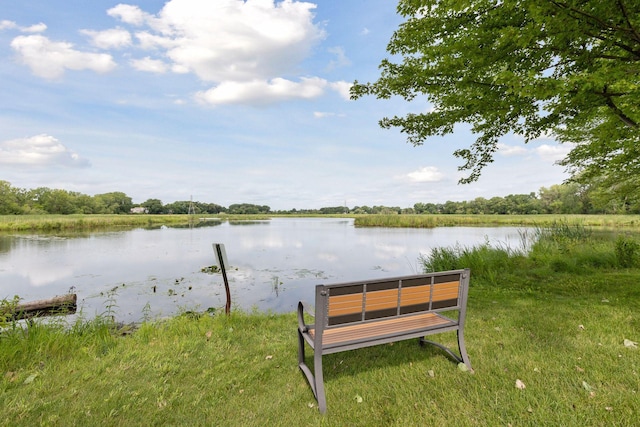 4360 Brookside Ct Unit 201, Edina, MN 55436 - dock area with a water view