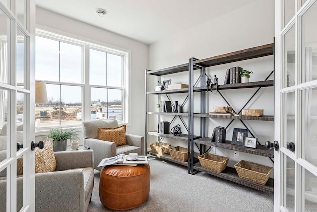 10974 37th St N, Lake Elmo, MN 55042 - sitting room with carpet floors and french doors
