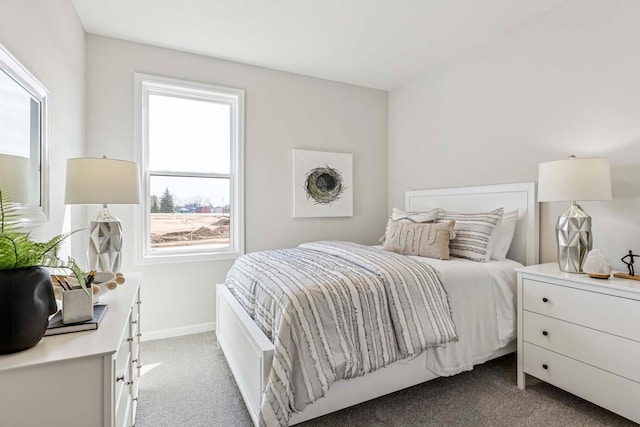 10974 37th St N, Lake Elmo, MN 55042 - bedroom featuring baseboards, multiple windows, and carpet flooring