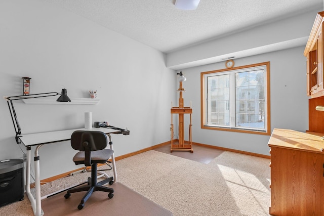 11030 Mississippi Blvd NW Unit 221, Coon Rapids, MN 55433 - office featuring light colored carpet, baseboards, and a textured ceiling
