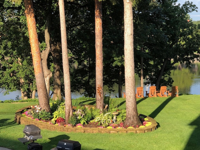11030 Mississippi Blvd NW Unit 221, Coon Rapids, MN 55433 - view of green lawn with a water view