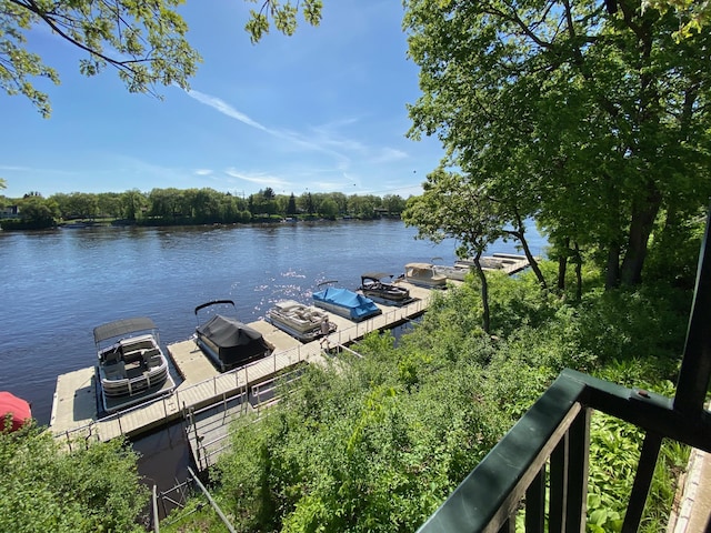 11030 Mississippi Blvd NW Unit 221, Coon Rapids, MN 55433 - water view featuring a floating dock