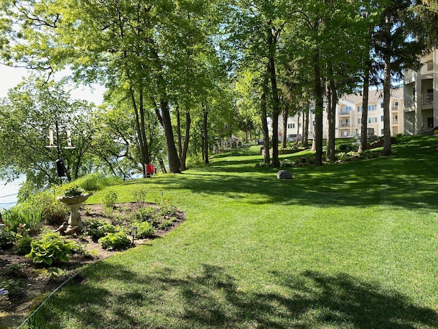 11030 Mississippi Blvd NW Unit 221, Coon Rapids, MN 55433 - view of green lawn
