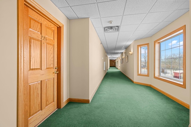 11030 Mississippi Blvd NW Unit 221, Coon Rapids, MN 55433 - hallway featuring carpet floors, baseboards, and a paneled ceiling