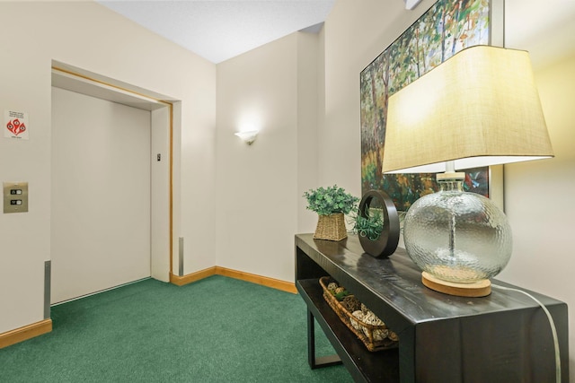 11030 Mississippi Blvd NW Unit 221, Coon Rapids, MN 55433 - hallway with elevator, carpet, and baseboards