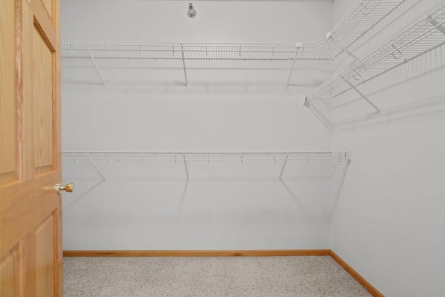 11030 Mississippi Blvd NW Unit 221, Coon Rapids, MN 55433 - view of walk in closet