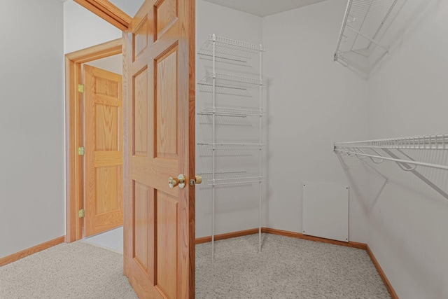 11030 Mississippi Blvd NW Unit 221, Coon Rapids, MN 55433 - walk in closet featuring light carpet