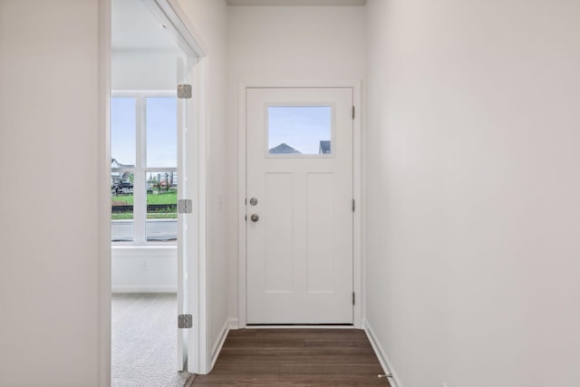 doorway to outside with dark hardwood / wood-style floors