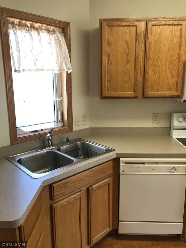 kitchen featuring stove, dishwasher, and a sink