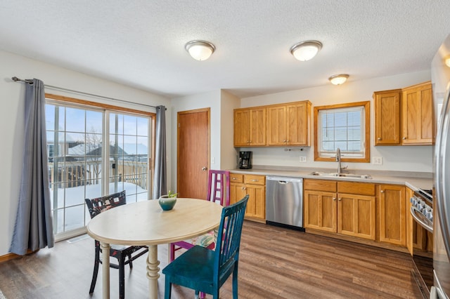 kitchen with sink, a wealth of natural light, dark hardwood / wood-style floors, and appliances with stainless steel finishes