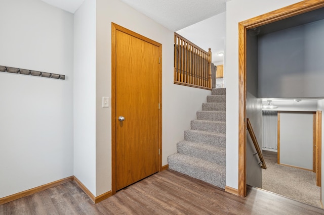 staircase featuring wood-type flooring