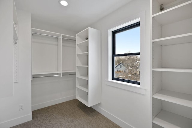 view of walk in closet