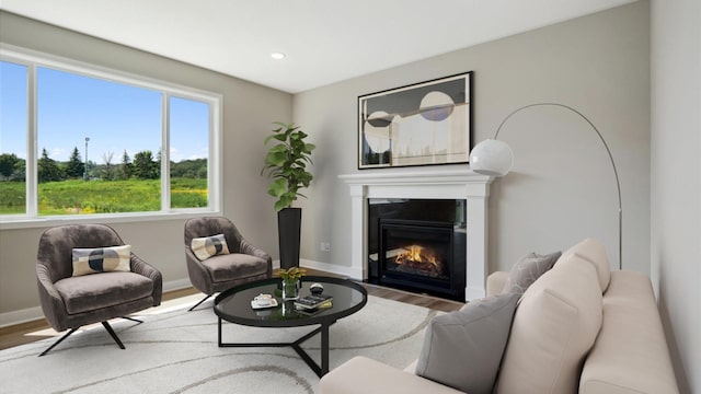 7472 170th Ave NW, Ramsey, MN 55303 - living room featuring recessed lighting, a glass covered fireplace, baseboards, and wood finished floors