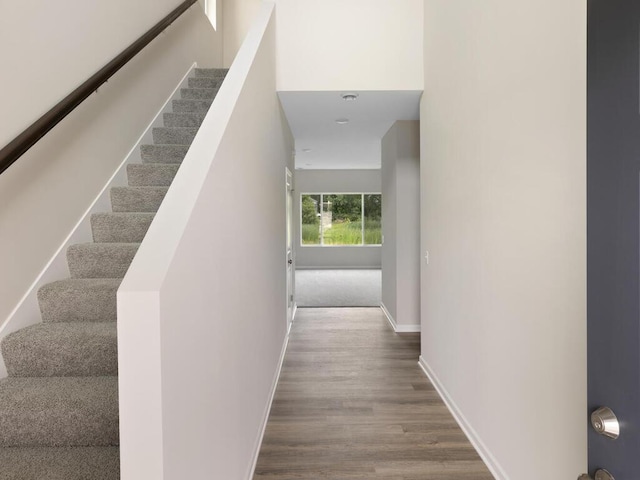 stairway featuring hardwood / wood-style floors