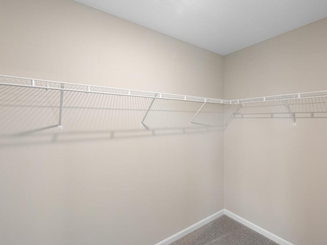 walk in closet with carpet