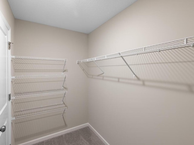 walk in closet featuring carpet floors