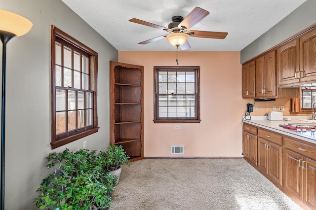 kitchen featuring visible vents, brown cabinets, a healthy amount of sunlight, and carpet