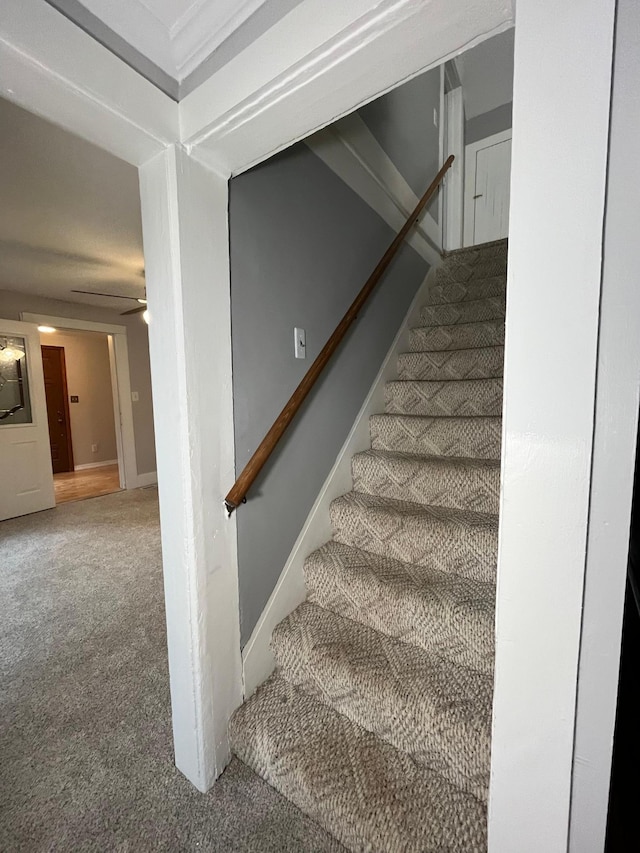 staircase with ceiling fan and carpet floors