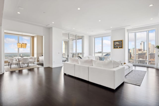 living room featuring plenty of natural light and dark wood-type flooring