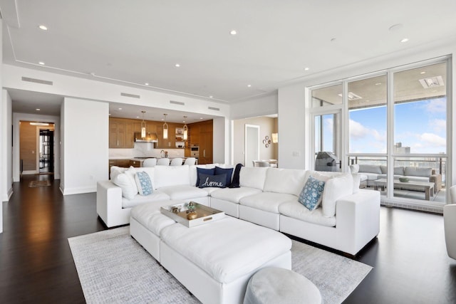 living room featuring dark hardwood / wood-style floors